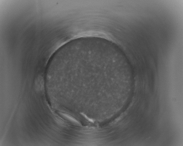 X0000066931505200604141944