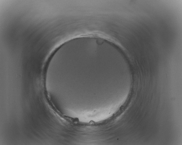 X0000066931506200604141944