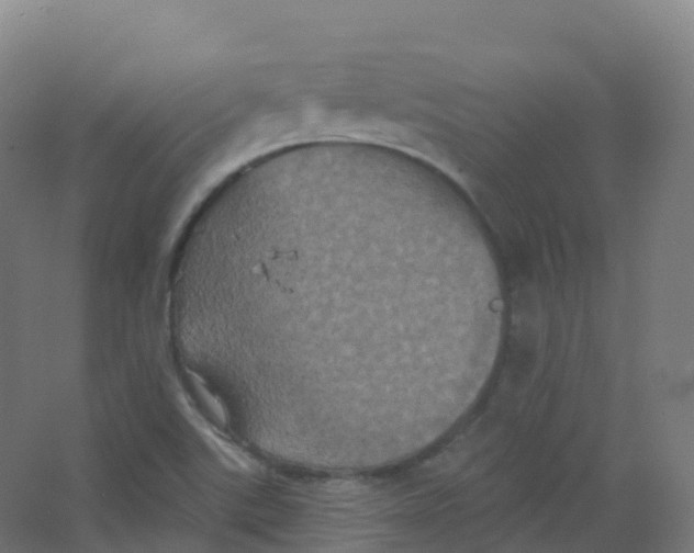 X0000066931507200604141944