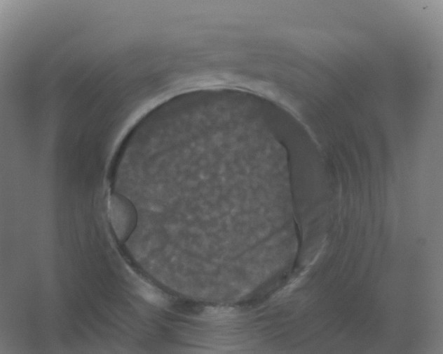 X0000066931509200604141944