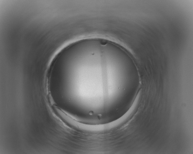 X0000066931510200604141944