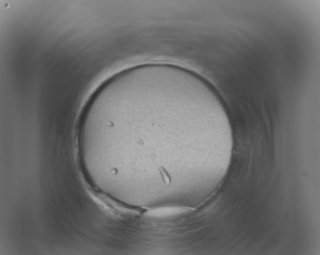 X0000066931511200604141944