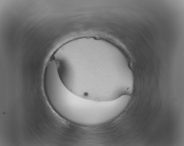 X0000066931512200604141944