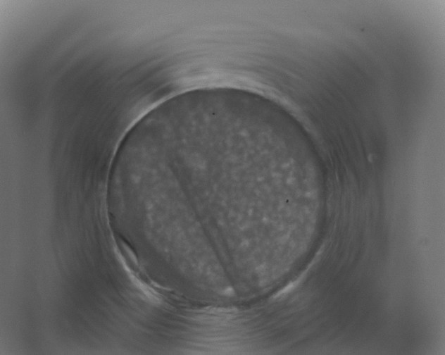 X0000066931513200604141944