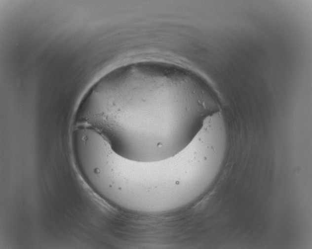 X0000066931514200604141944