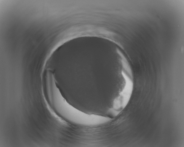 X0000066931515200604141944