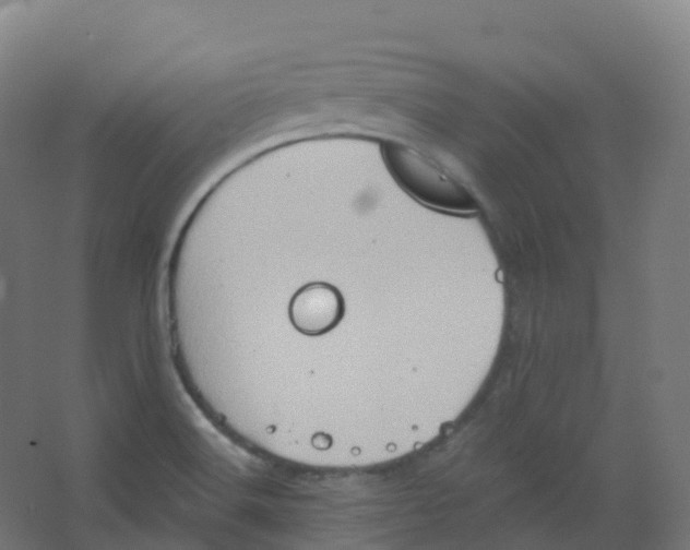 X0000066931516200604141944