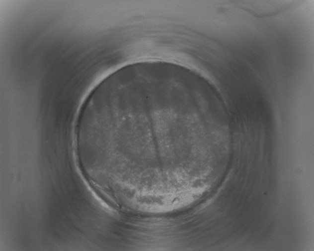 X0000066931517200604141944