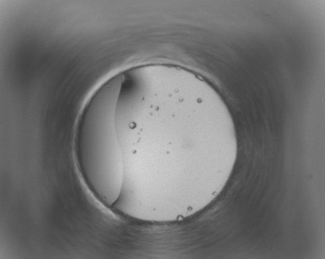 X0000066931518200604141944