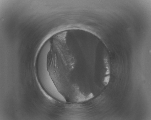 X0000066931519200604141944