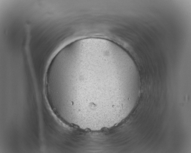 X0000066931520200604141944