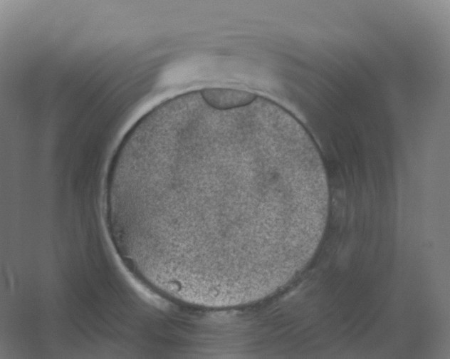 X0000066931523200604141944