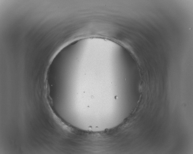 X0000066931524200604141945