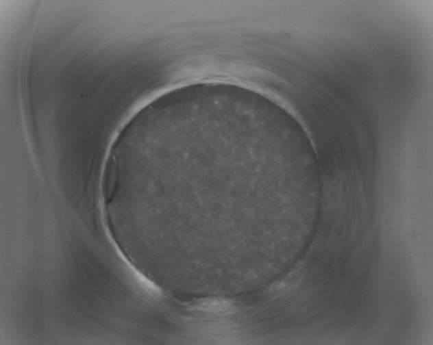 X0000066931525200604141945