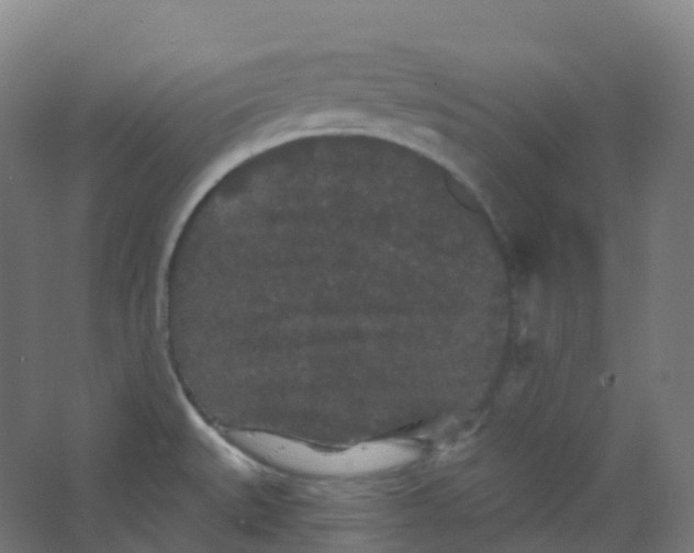 X0000066931527200604141945