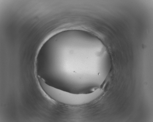 X0000066931528200604141945