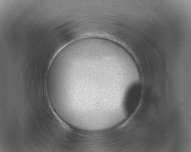 X0000066931529200604141945