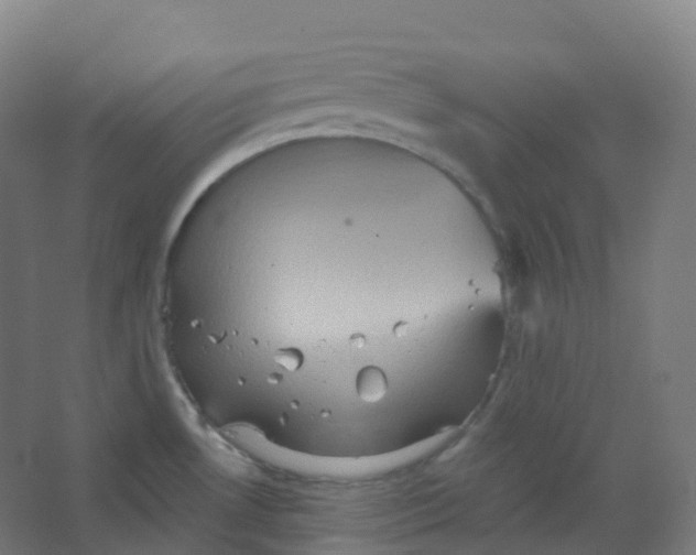 X0000066931530200604141945