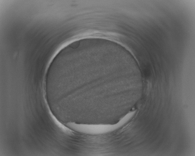 X0000066931531200604141945