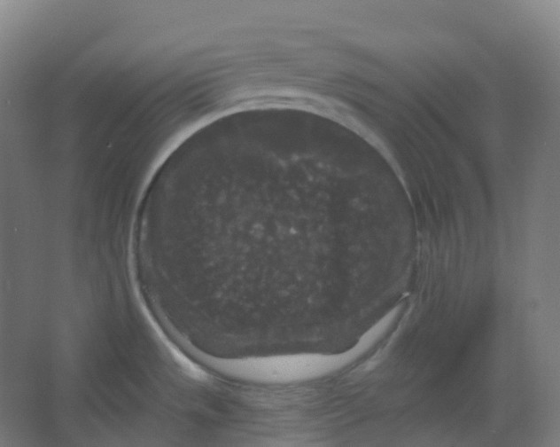 X0000066931533200604141945