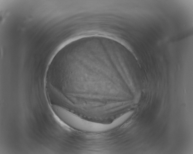 X0000066931535200604141945