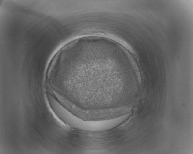 X0000066931536200604141945