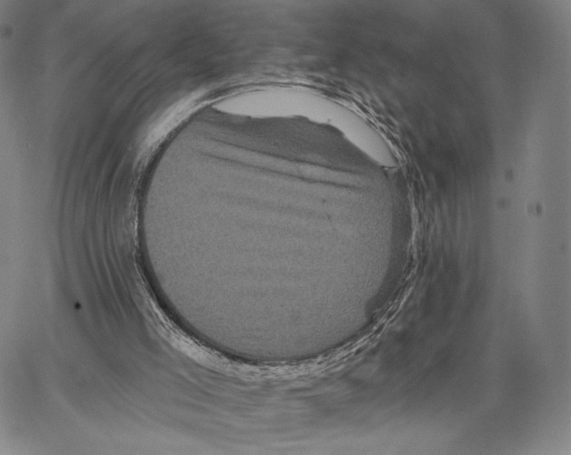 X0000066930005200604211736