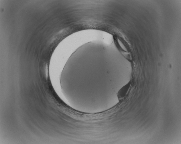 X0000066930027200604211736