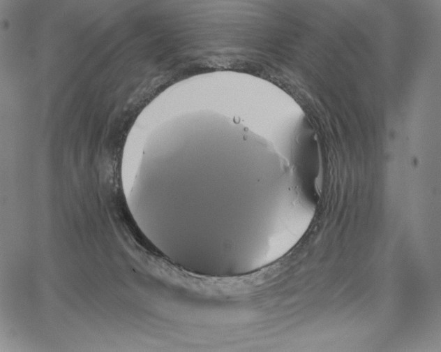 X0000066930031200604211736