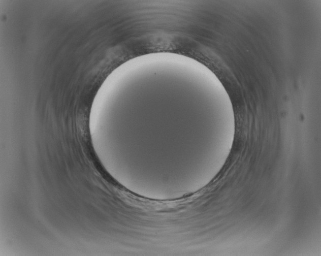 X0000066930035200604211736