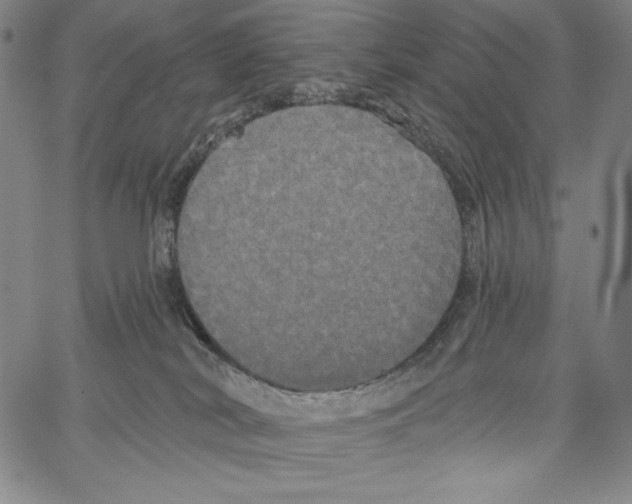 X0000066930038200604211736