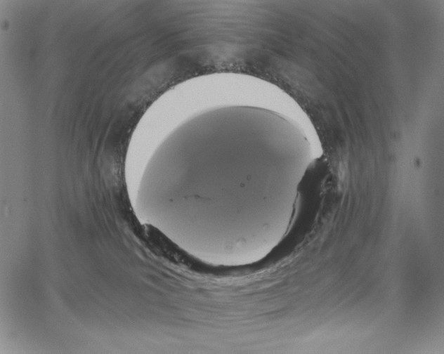 X0000066930039200604211736