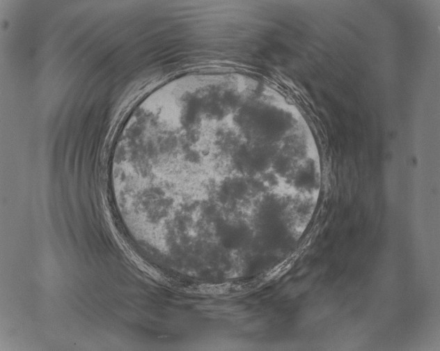 X0000066930049200604211735