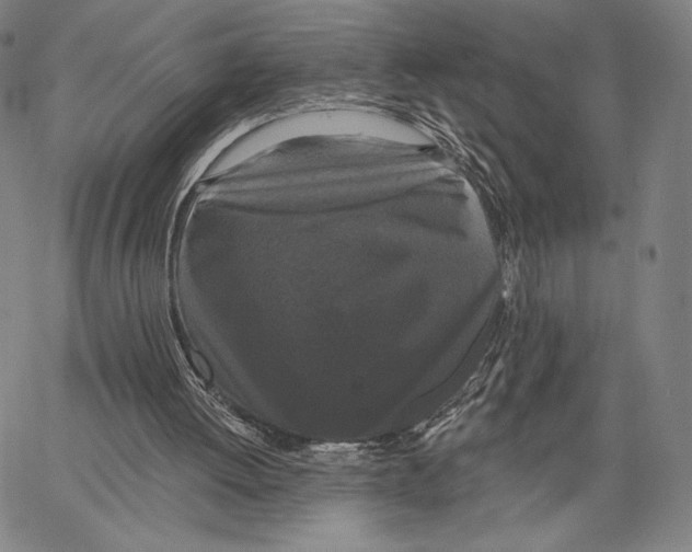 X0000066930052200604211735