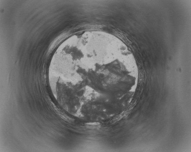 X0000066930053200604211735