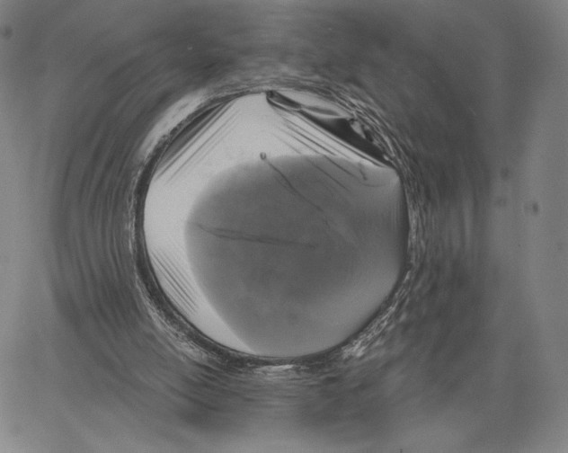 X0000066930054200604211735