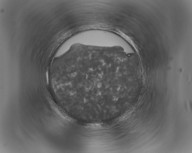 X0000066930061200604211735