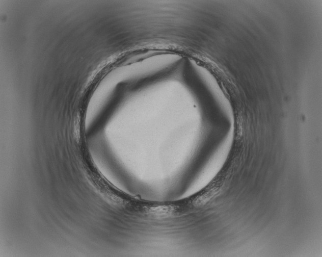 X0000066930064200604211735