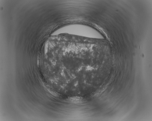 X0000066930069200604211735