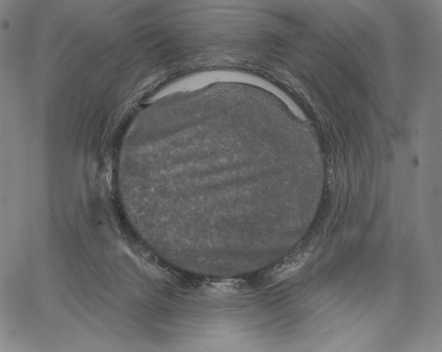 X0000066930072200604211735