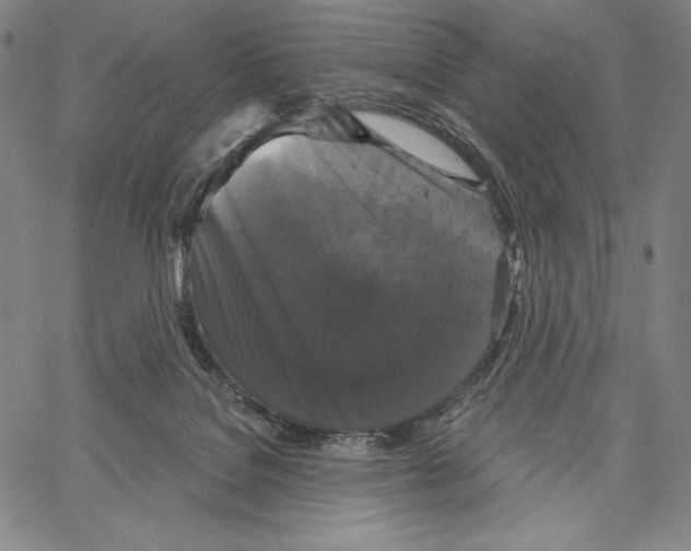 X0000066930076200604211735
