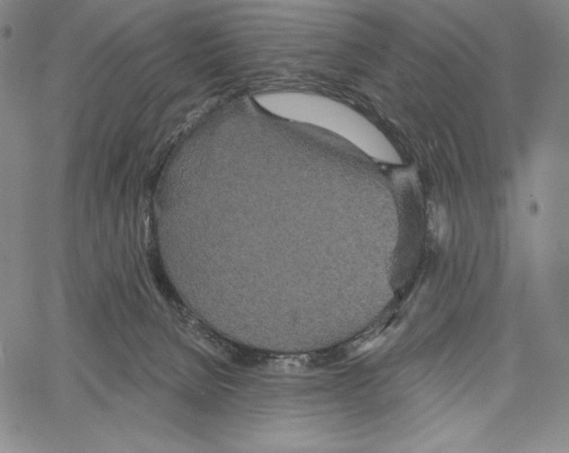 X0000066930080200604211735