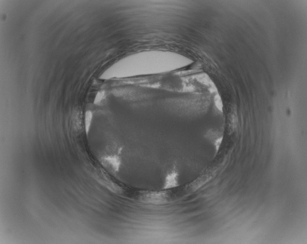 X0000066930081200604211735