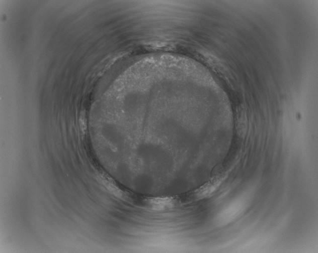 X0000066930085200604211735