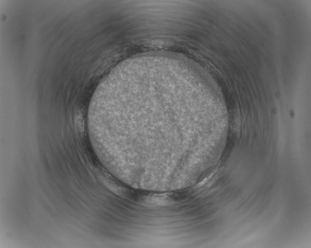 X0000066930086200604211735