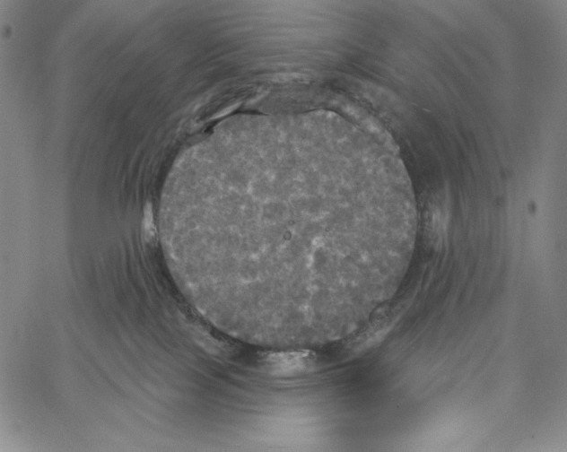 X0000066930089200604211735