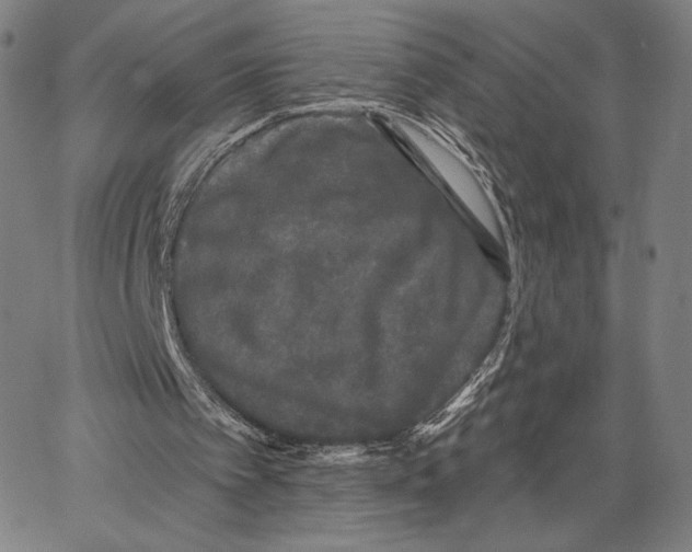 X0000066930097200604211735