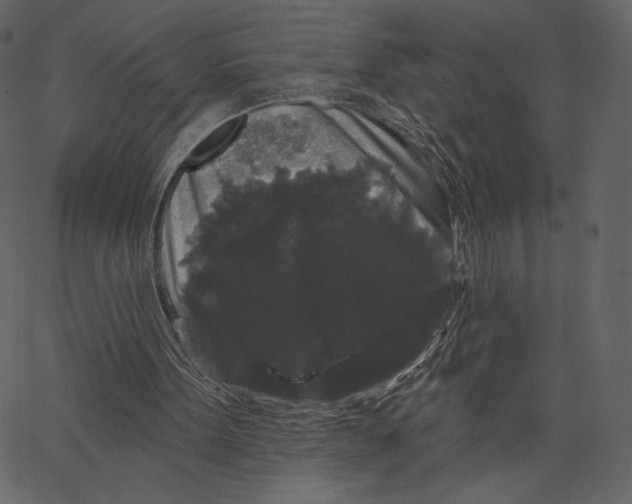 X0000066930099200604211734