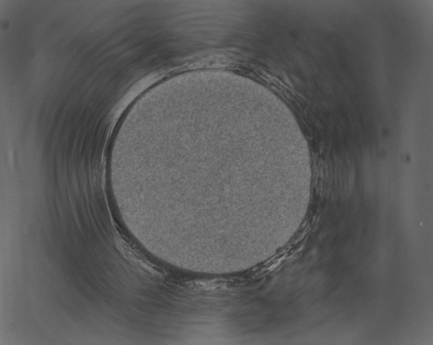 X0000066930100200604211734