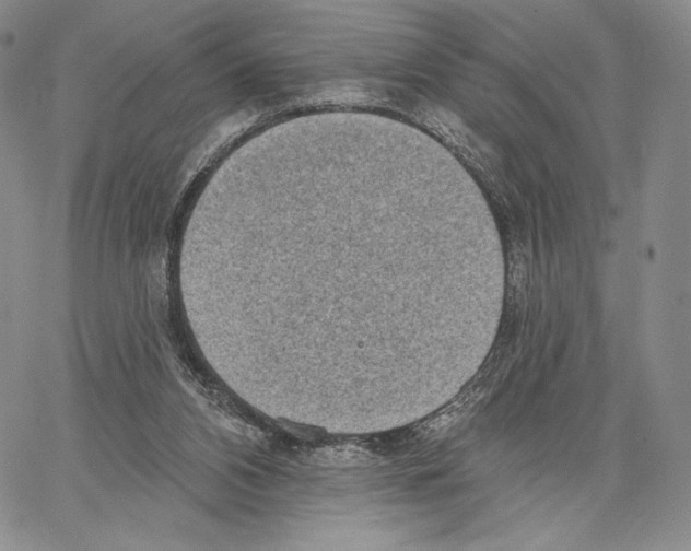 X0000066930112200604211734